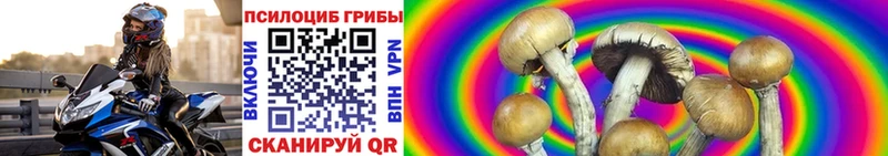 Галлюциногенные грибы мухоморы  Купить закладки  Палласовка 