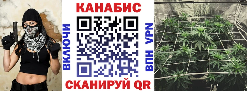 Купить закладки  Палласовка  Конопля планчик 